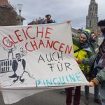 İsviçre'nin Bern şehrinde kitlesel doğa ve iklim koruma eylemi